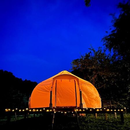 Flore'S Garden Glamping Hotel Törcsvár Kültér fotó