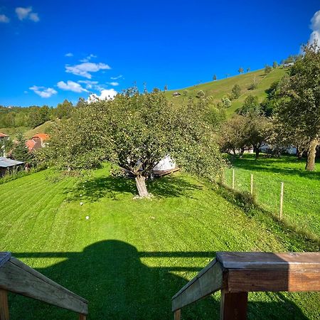 Flore'S Garden Glamping Hotel Törcsvár Kültér fotó