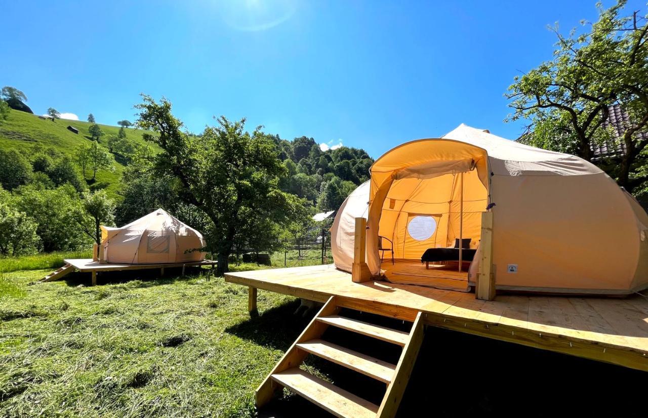 Flore'S Garden Glamping Hotel Törcsvár Kültér fotó