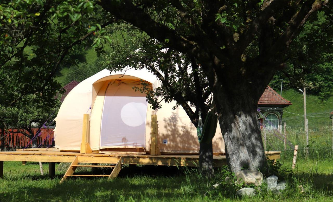 Flore'S Garden Glamping Hotel Törcsvár Kültér fotó