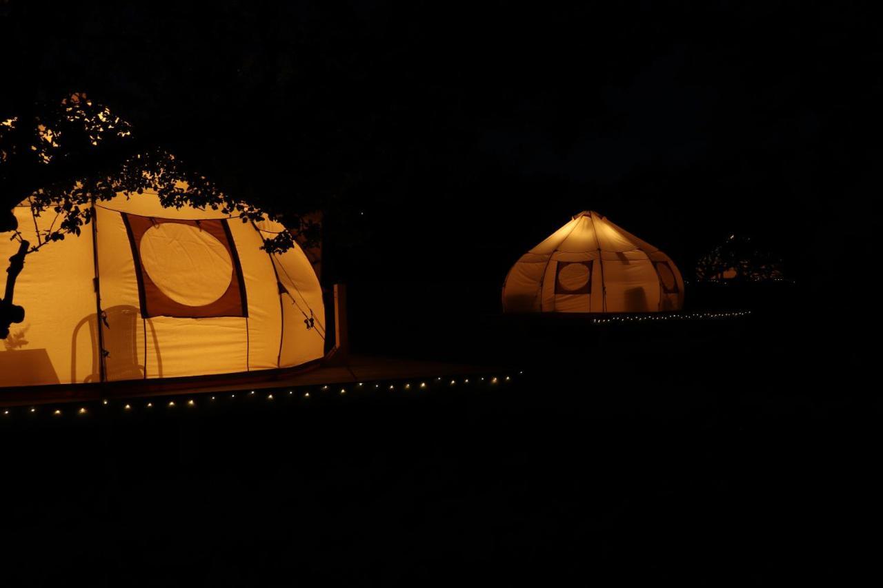 Flore'S Garden Glamping Hotel Törcsvár Kültér fotó