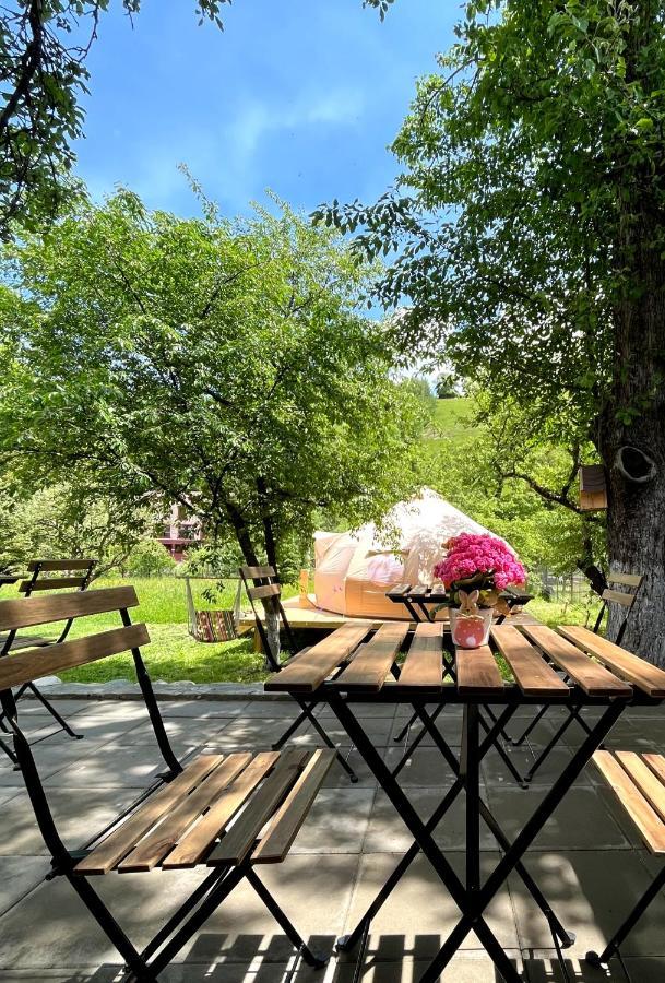 Flore'S Garden Glamping Hotel Törcsvár Kültér fotó