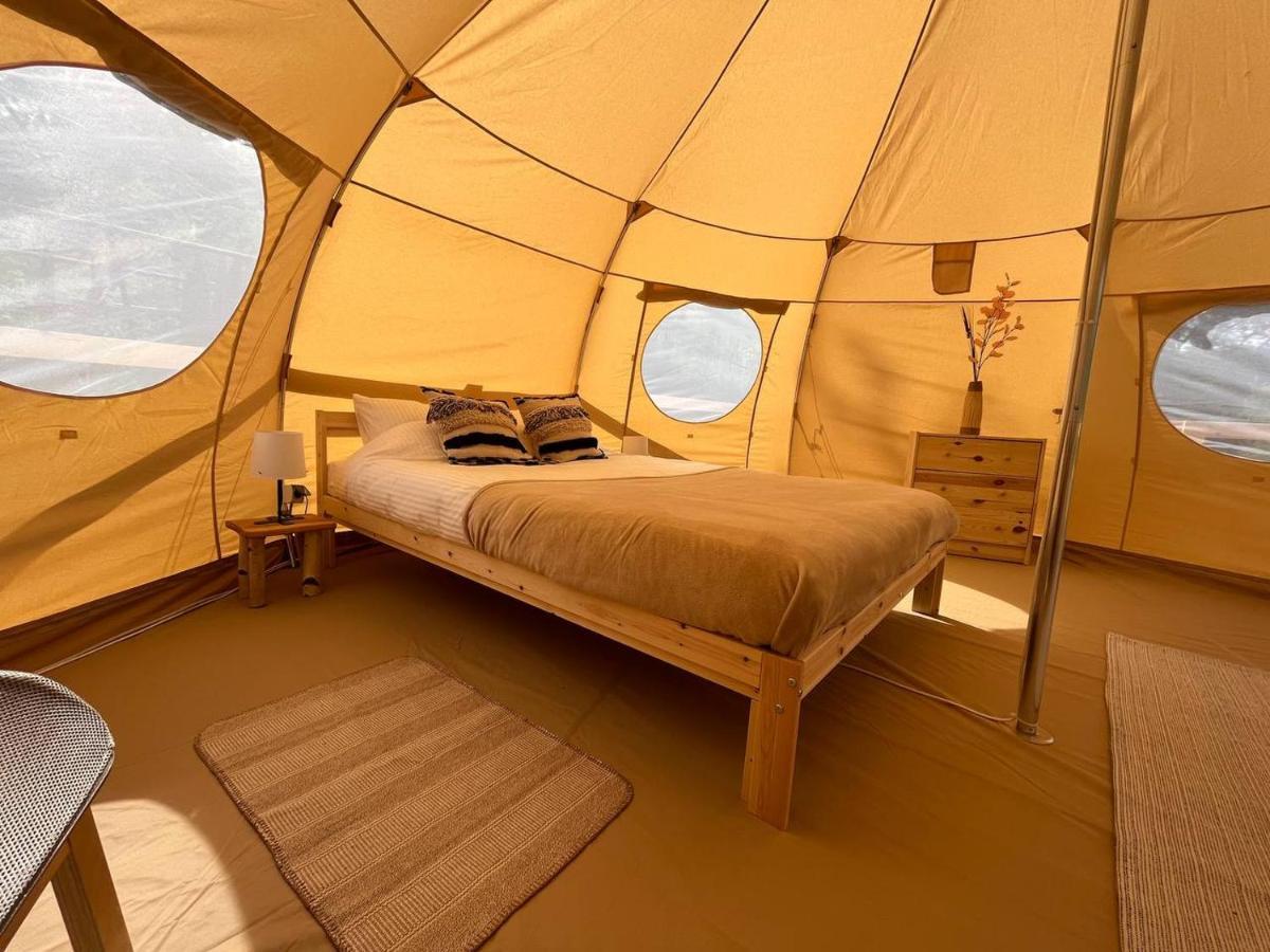 Flore'S Garden Glamping Hotel Törcsvár Kültér fotó