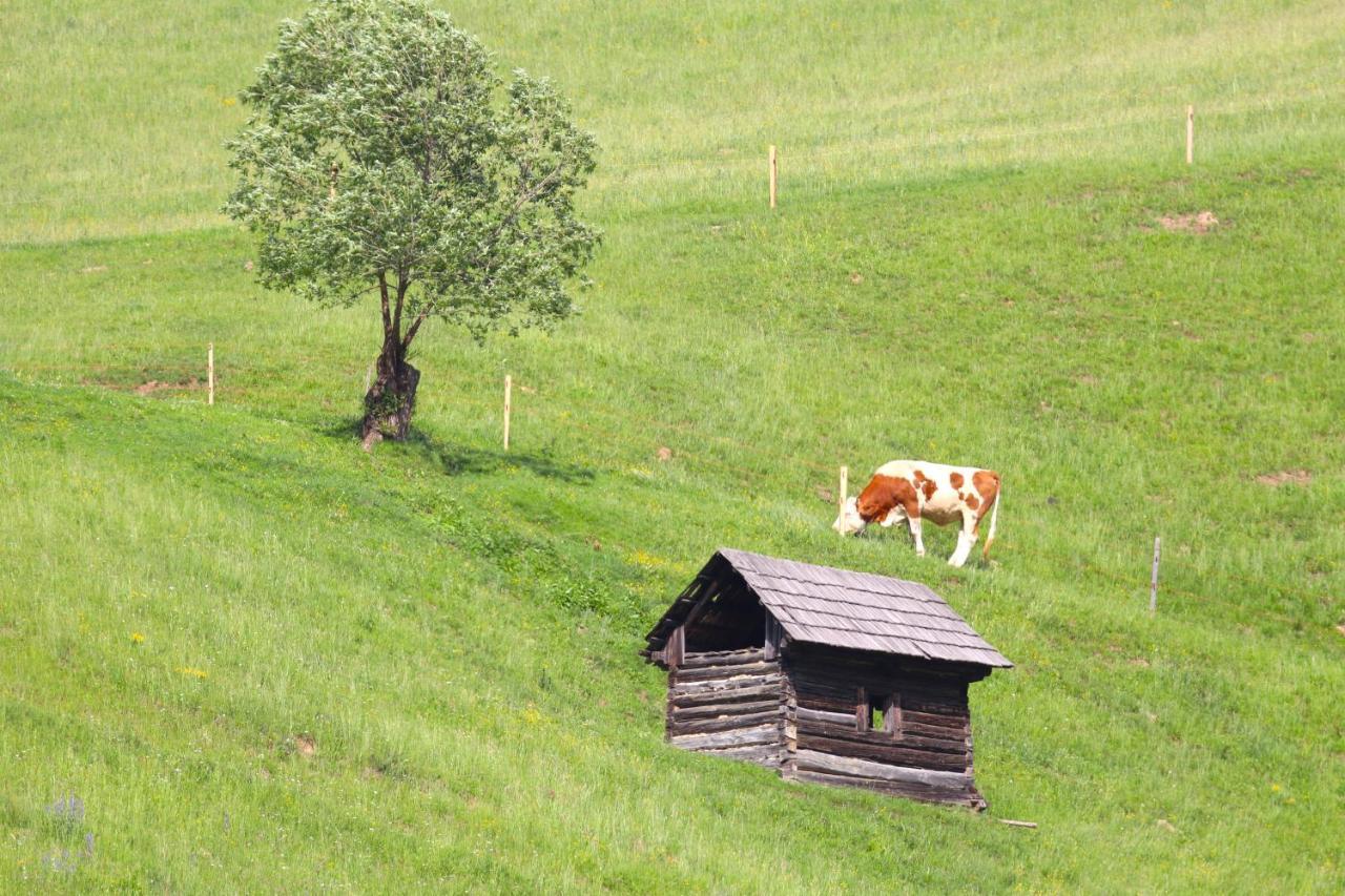 Flore'S Garden Glamping Hotel Törcsvár Kültér fotó