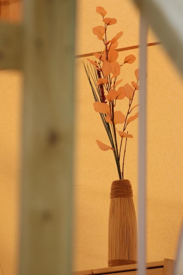 Flore'S Garden Glamping Hotel Törcsvár Kültér fotó
