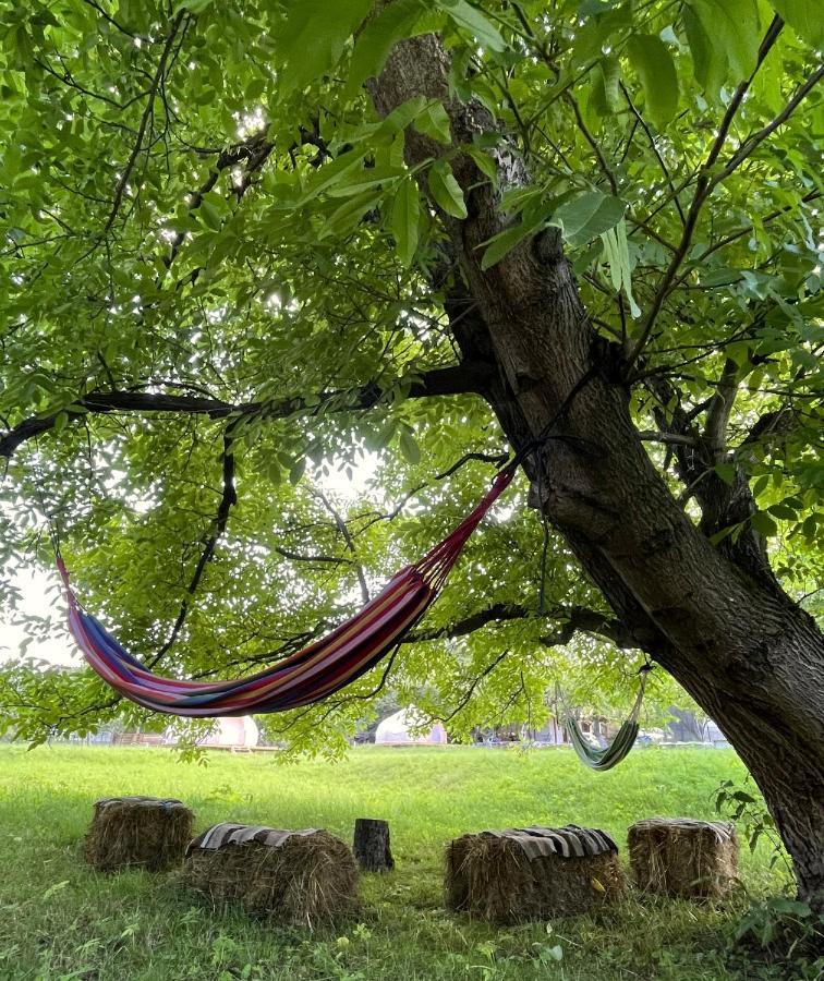 Flore'S Garden Glamping Hotel Törcsvár Kültér fotó