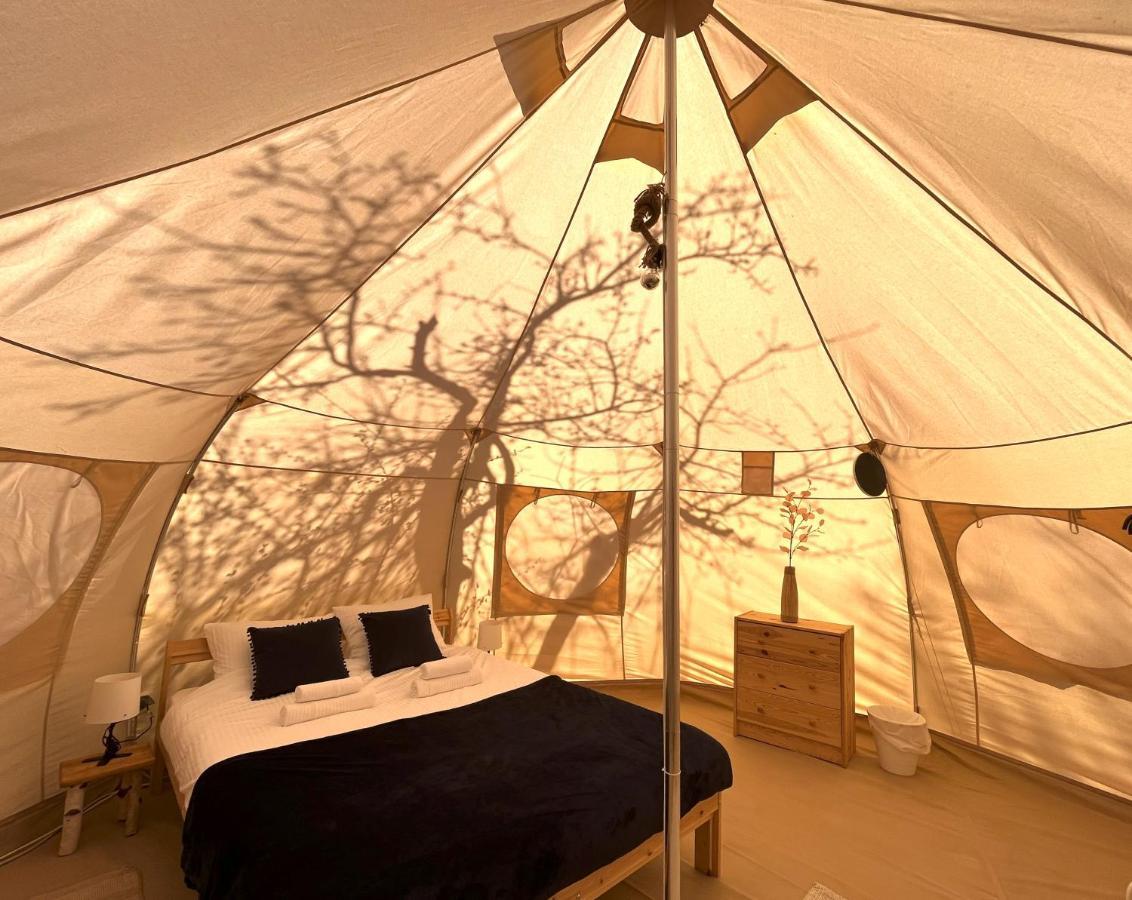 Flore'S Garden Glamping Hotel Törcsvár Kültér fotó