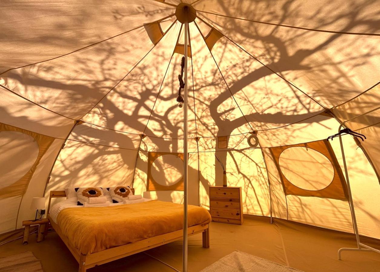 Flore'S Garden Glamping Hotel Törcsvár Kültér fotó