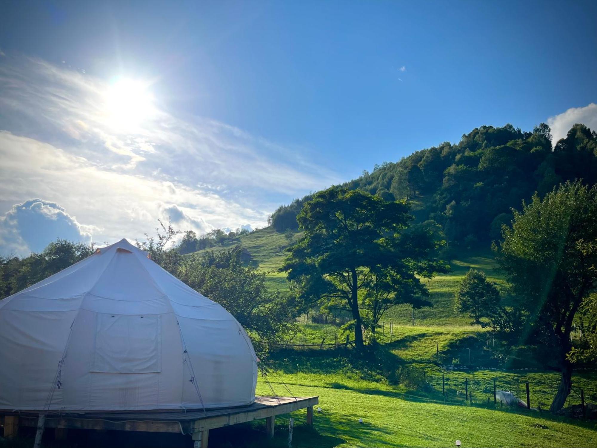 Flore'S Garden Glamping Hotel Törcsvár Kültér fotó