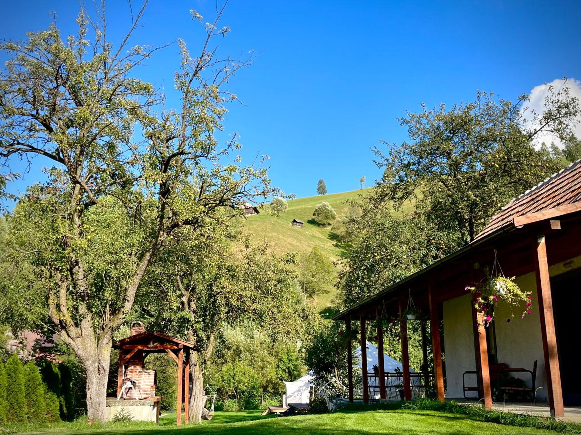 Flore'S Garden Glamping Hotel Törcsvár Kültér fotó