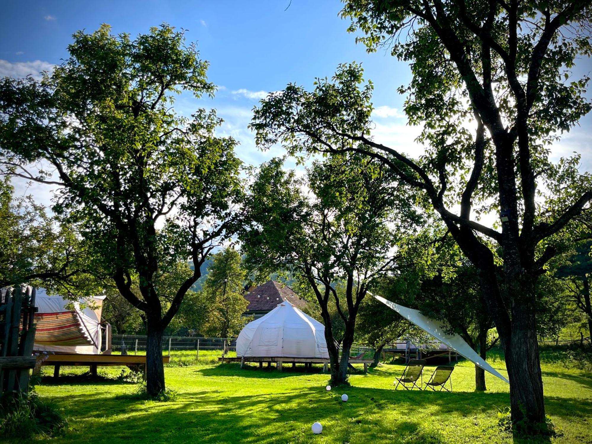 Flore'S Garden Glamping Hotel Törcsvár Kültér fotó