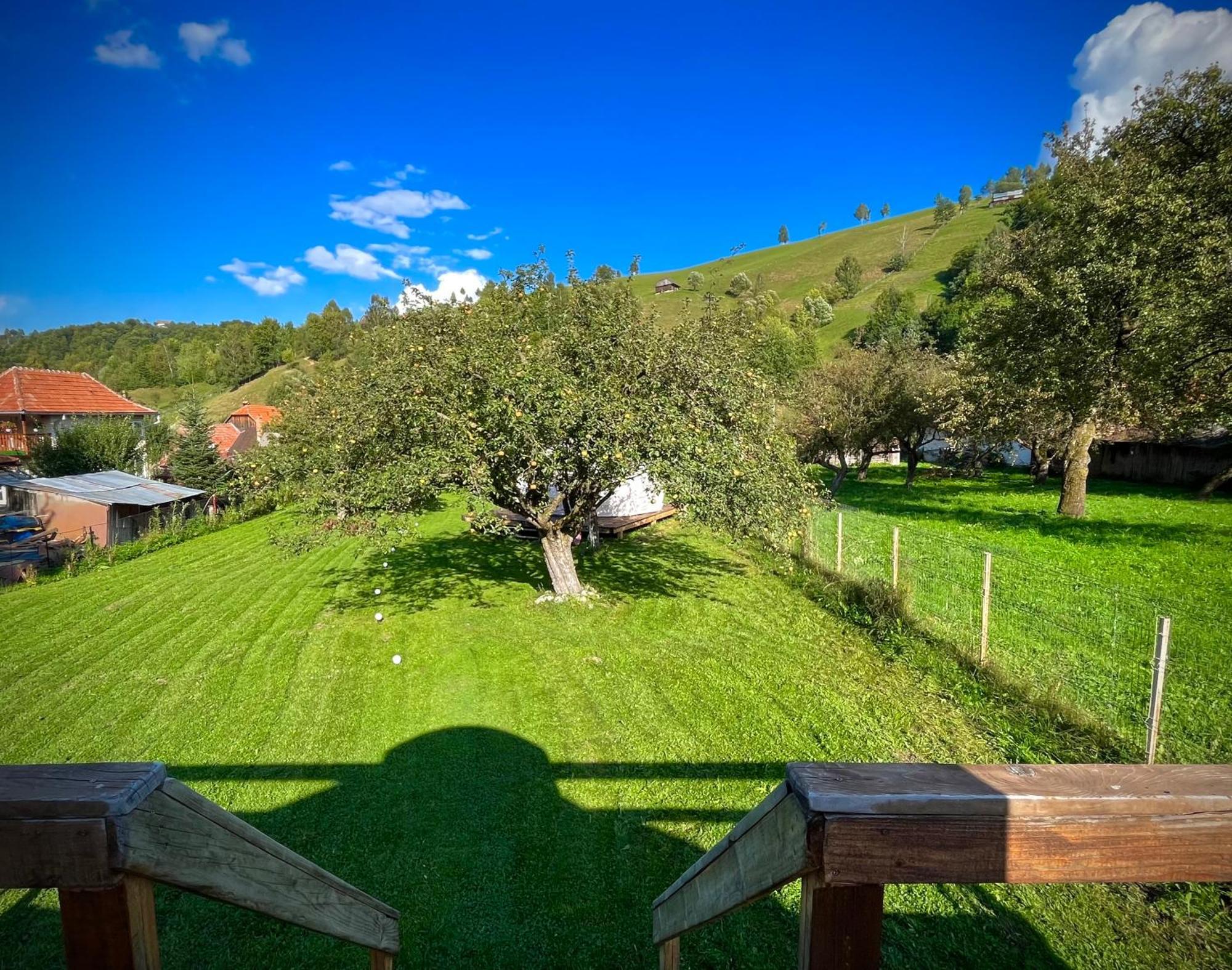 Flore'S Garden Glamping Hotel Törcsvár Kültér fotó